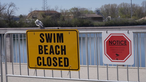 Quarry swimming wristbands available for pick-up beginning today