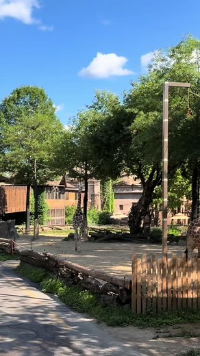 Everland Theme Park Safari World guide