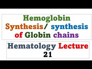 Hemoglobin Synthesis/ Globin synthesis / Hematology lecture 21