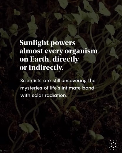 Quanta Magazine on Reels