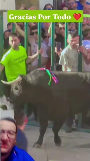 The Brave Bull Charges Out With Force. #bravebull @ExpoVideo