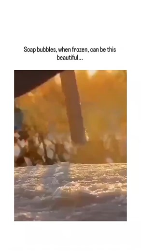 Vicky__hubs on Instagram: "This X post shares a 17-second video of soap bubbles blown outdoors in freezing conditions, transforming into intricate, sparkling ice crystals resembling stars and leaves against a snowy backdrop. Posted by @sokuhoulife , a Japanese account curating viral global videos, it captures a whimsical winter activity popular in cold regions, amassing over 15,000 views in hours. A 2019 Nature Communications study explains the phenomenon: sub-zero temperatures trigger rapid, in