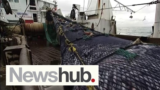 The Government's proposing to ban bottom-trawling from up to 89 percent of the Hauraki Gulf as part of its plan to better protect what they're calling our "big blue backyard" - but is it enough? Lucy Thomson reports. #Newshub | Three | Newshub
