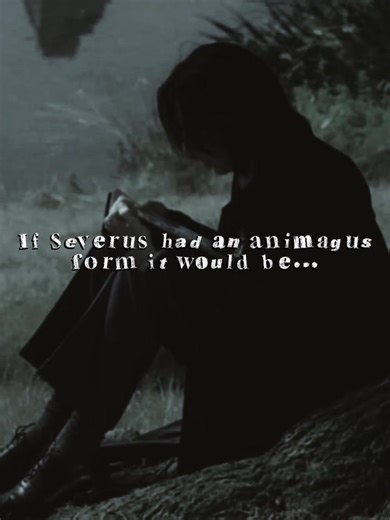 Understanding Severus Snape: A Sympathetic Perspective