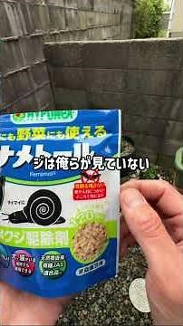 俺のナメクジ対策