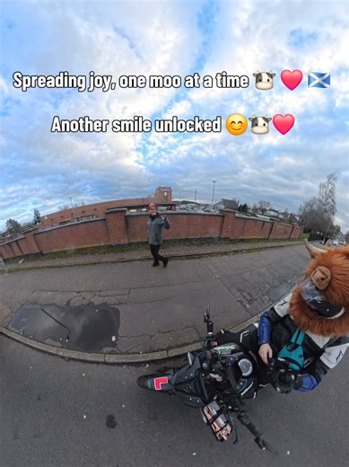 Spreading joy, one moo at a time 🐮 ❤️ 🏴󠁧󠁢󠁳󠁣󠁴󠁿 Another smile unlocked 😃 #HighlandCowRider #PositiveVibes #HighlandCow #Cow #BikeLife