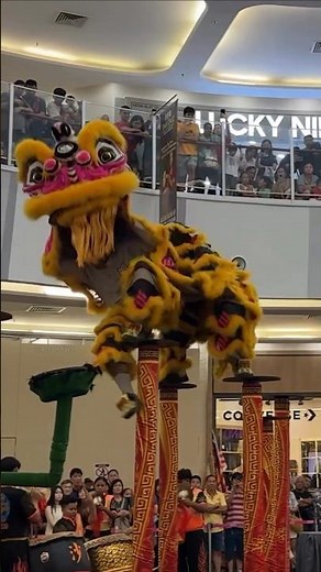 The Chinese Lion Dance 🦁