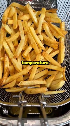 MCDONALD'S Secret Ingredient 🍟