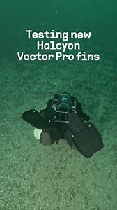 The only pair of fins you'll ever need. | Divers 24