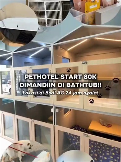 Hai Pecinta Anabul, Kami Woof House Petshop sudah 4 tahun di GS/BSD (Ruko Northridge Blok A 6 no 3) Sayangi Anabul Kamu dengan Grooming, Hotel dan Daycare agar Tidak Berjamur atau Gimbal dan agar bisa Healing Staycation dengan Team Groomer yang berpengalaman dan penyayang Anabul kamu Kami tunggu kedatangannya 😇 📞 0818 921242 @woofhousepetshop