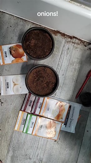 Growing Sweet Onions: Tips for Starting Onion Seeds