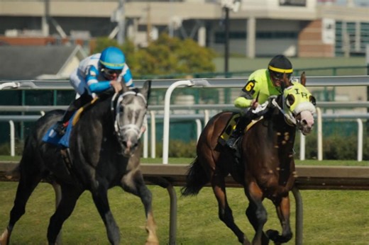 Stream It Or Skip It: ‘Broken Horses’ on Hulu, a Solid Journalistic Expose About Doping in Horse Racing