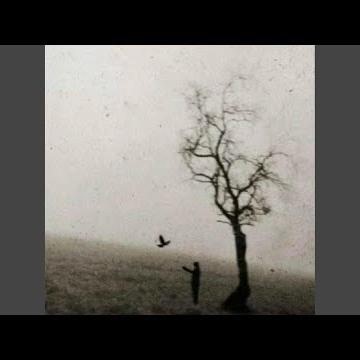 RIP X (feat. NoCapLuke)