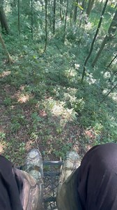 Only 76 days uniting Michigan Archery Season Opener 🦌🦌🦌 HANG IN THERE! #whitetail #deer #hunting #reels #viral #archeryhunting #bowhunting #bowhuntingwhitetails #bowhuntingseason | Jake Outdoorz