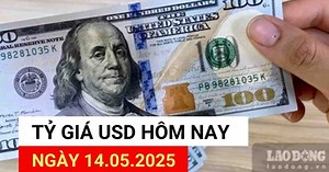 USD exchange rate today 14.5: Unexpected change of direction