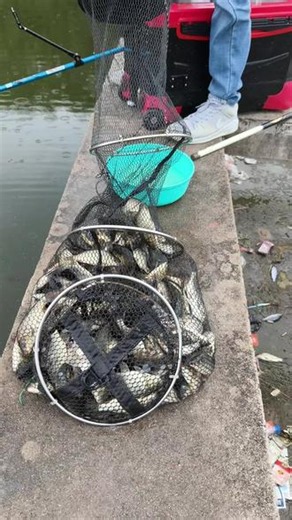 🐟五小时蹲守没白费！满满鱼货！