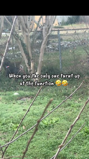 My neighbor got a new dog. 🤣🤣 #puppytiktok #weee