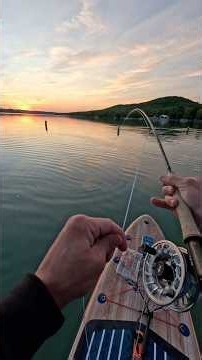 Fly fishing with top water is undefeated. App: ‪@FinFindr‬ #flyfishing #bass #pike #trout
