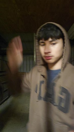 fatty bit me #horse #cutey #ilovehorses #horsey #asian