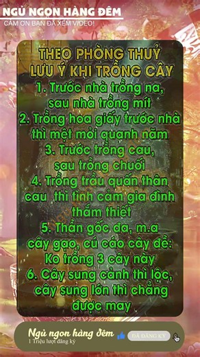 Ngủ ngon hằng đêm: Nhạc Thiền Thư Giãn Sâu | Giúp Bạn Ngủ Ngon & Tái Tạo Năng Lượng