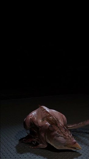 SCP-3199 Baby Sleep Animation