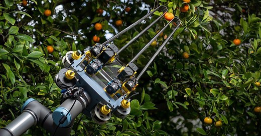 A New Robotic Gripper Based on Measuring Tape is Sizing Up Fruit and Veggie Picking