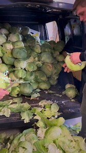 1.2K views · 15 reactions | Fresh Market on Reels | Facebook