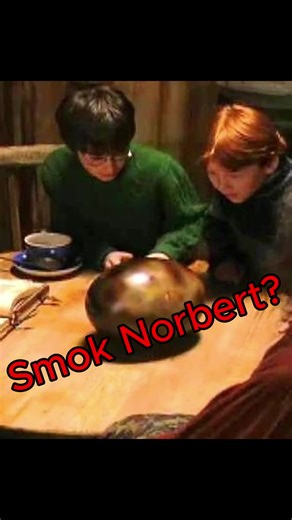Ciekawe fakty o Harrym Potterze i Weasleyach