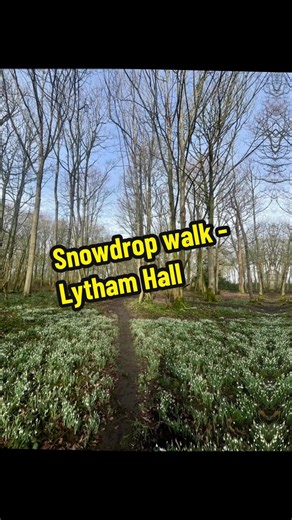 There’s a gorgeous snowdrop walk in Lytham Hall at the moment. It’s a £1pp donation if you visit at the weekend. #lancashire #lytham #snowdrop