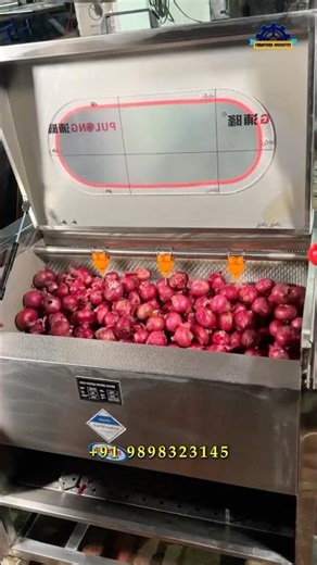 Onion Washing and Peeling Machine | Automatic Onion Processing Machine @CREATUREINDUSTRY