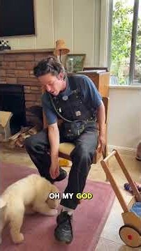 How to Properly Redirect Puppy Biting