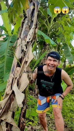 The moment a giant python appeared in the chicken coop‼️😱😱 #funny #funnyvideo #funnycomedy