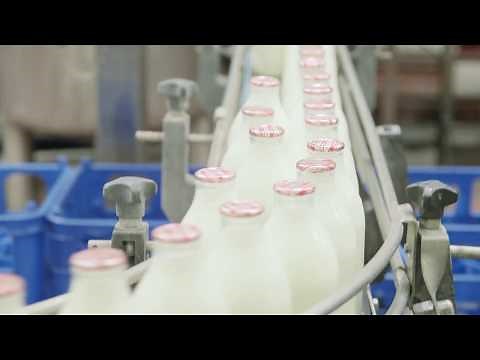 COTTESWOLD DAIRY Glass Bottle Milk Production