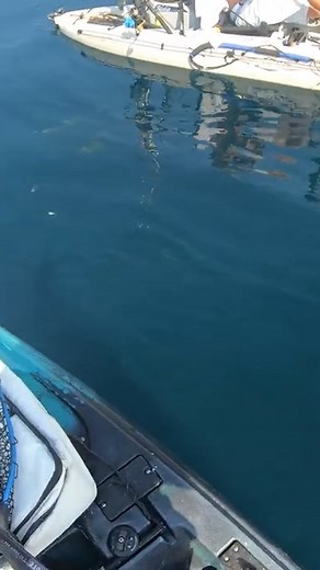 6.4M views · 10K reactions | I was Freaking out | Yakin With Jack | Facebook