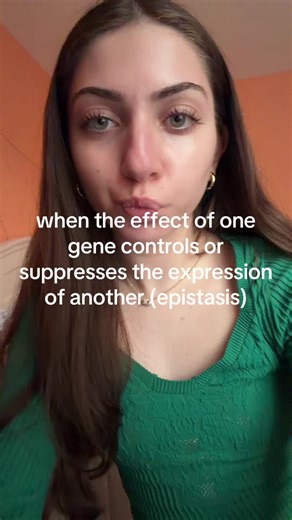 Understanding Epistasis in Genetics