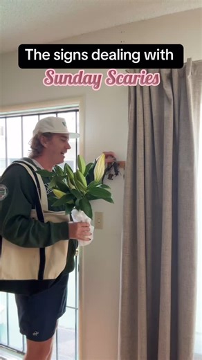 Who rules your Sunday- Sun/ Moon/ Rising? Good luck everyone. 💗 #comedy #astrology | Kevin Sullivan