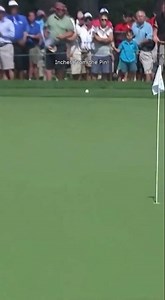 Incredible Golf Shot Lands Inches from the Hole!