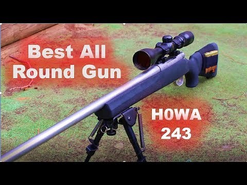 Best All Round Rifle? HOWA 243 review