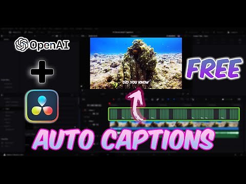 AUTO CAPTIONS FOR DAVINCI RESOLVE