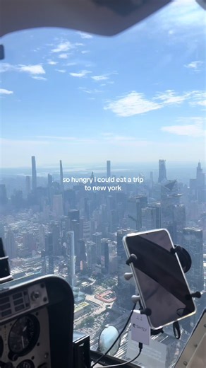 Culinary Adventures: Travel to NYC and Vienna