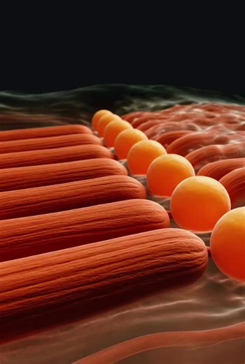 #creatorsearchinsights #Foryou #Foryoupage #health