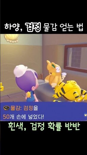 포코피아 검정색, 흰색 물감 얻는 법