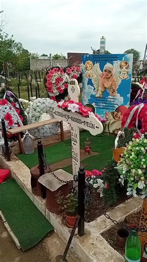 Videoclipuri postate de Nae Genera (@nae.genera) cu sunet original - AMMA MUSIC