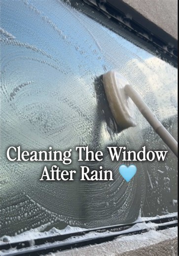The Beauty of Post-Rain Clarity Through Clean Windows