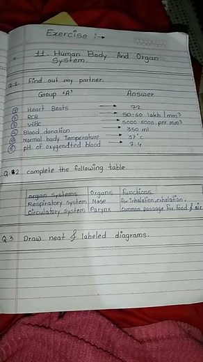 11 . Human Body And Organ System 8th standard Exercise with correct answer @farhinfmulla