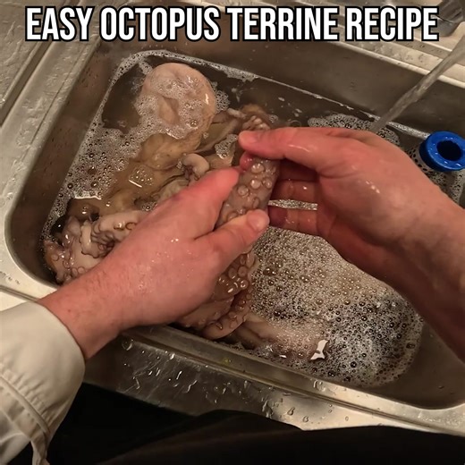 How to Make Octopus Terrine? Try This Easy Tip! | Fallow