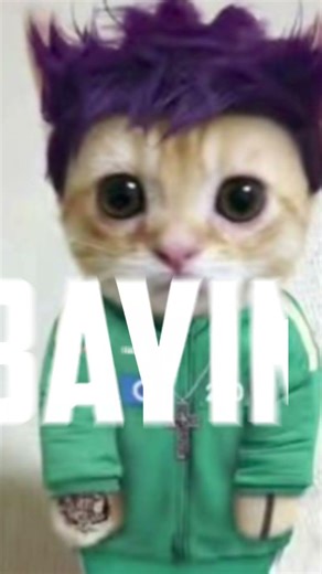 el gato edit #shortvideo #shorts #catmemes