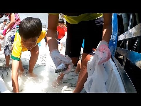 魚のつかみ取り 小学校高学年（4年生～6年生） その３