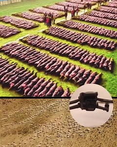 If The Drone Didn't Capture THIS, No One Would Believe It! This Happens Once In A Lifetime!Video | Dynamic Web Design Uganda | Facebook