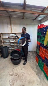 12K views · 174 reactions | You can maximize any space you have and begin with the production | Bempet Organic Farm | Facebook